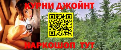 герыч Кингисепп