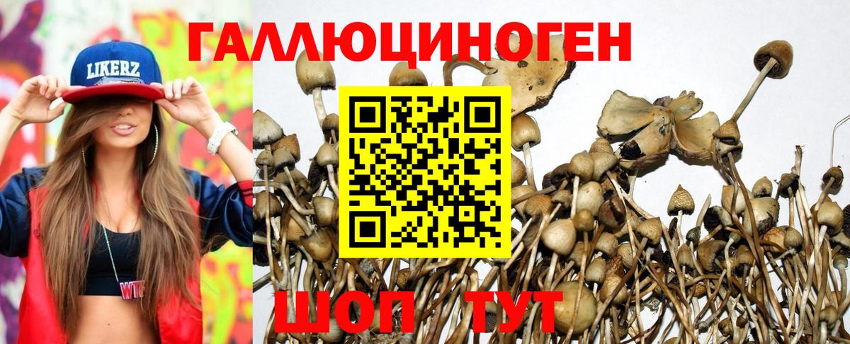 Галлюциногенные грибы MAGIC MUSHROOMS  Вход с VPN  магазин    Ярцево 